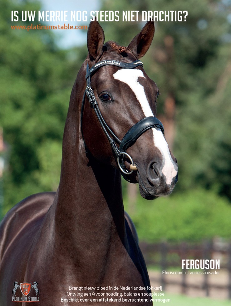 Platinum Stable