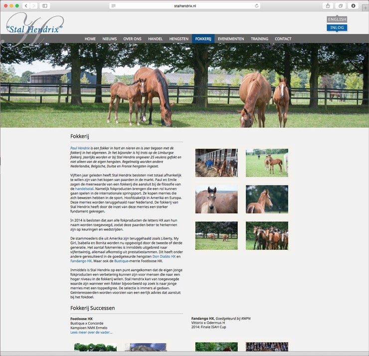 Website Stal Hendrix