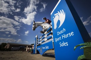 Dutch Sport Horse Sales website Stal Hendrix