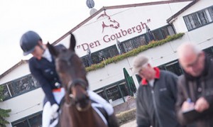 action4good, auction, goubergh, dressage, horses, beautiful, goubergh, roosendaal