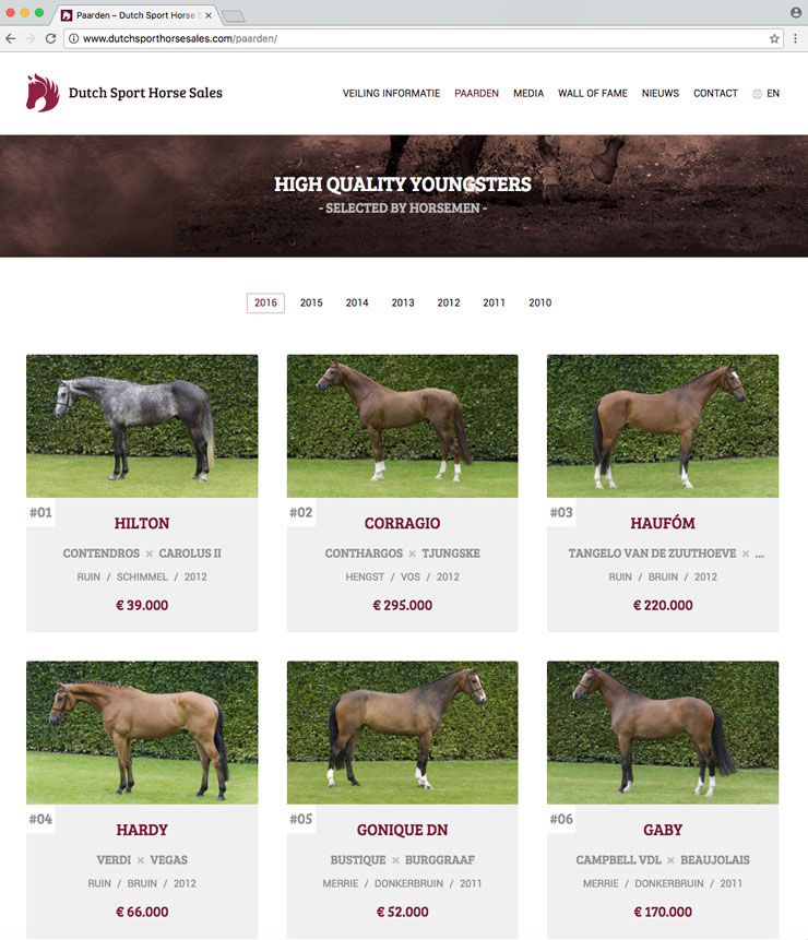 Website Dutch Sport Horse Sales