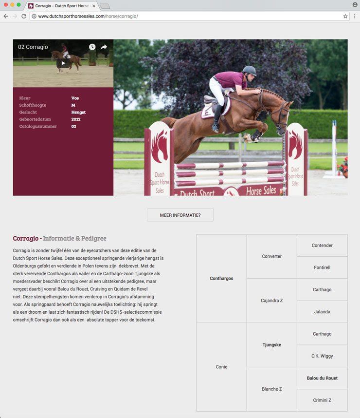 Website Dutch Sport Horse Sales