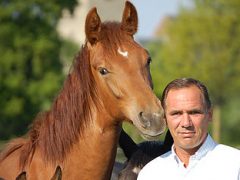 Bert Rutten new committee member Limburg Foal Auction