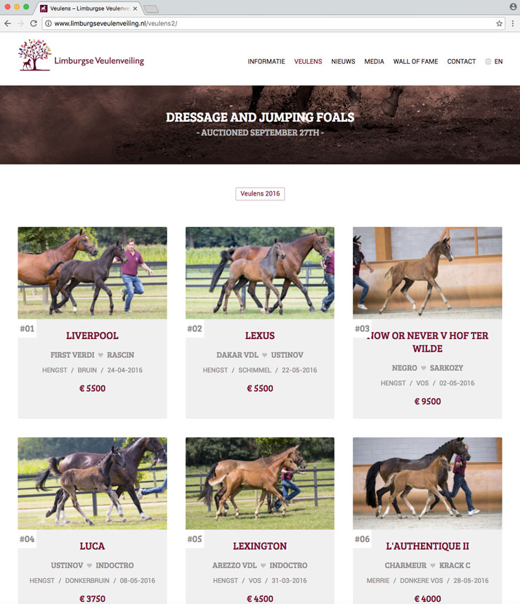 Website Limburg Foal Auction