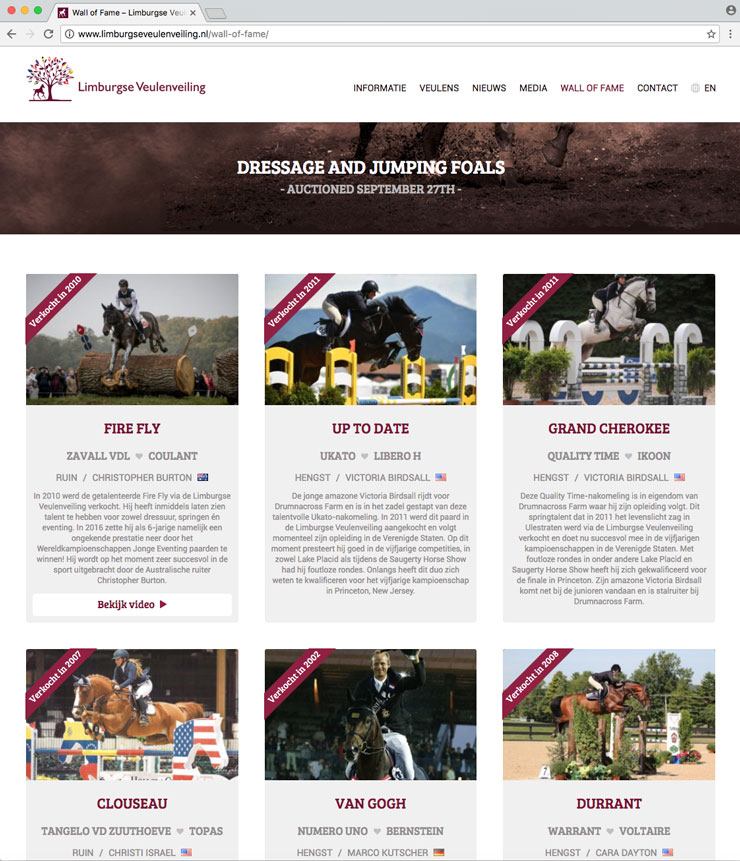 Website Limburgse Veulenveiling