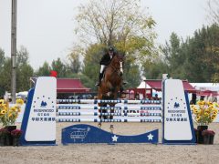 Internationale marktkansen binnen de professionele paardensport van China