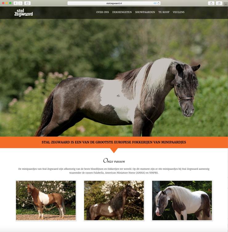 Website Stal Zegwaard