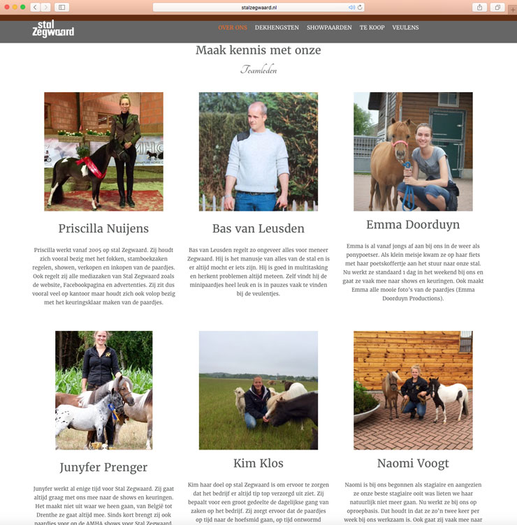 Website Stal Zegwaard