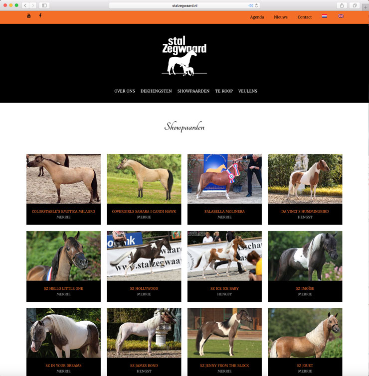 Website Stal Zegwaard