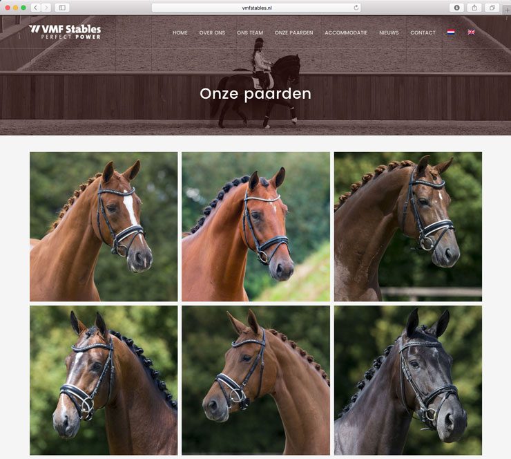 VMF Stables