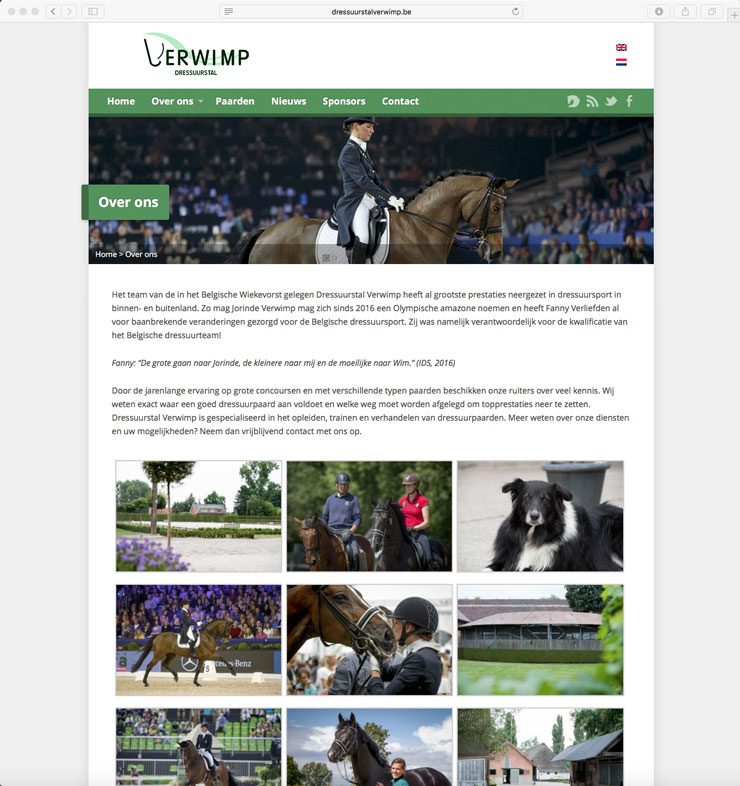 Dressuurstal Verwimp