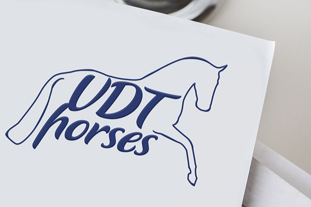 Logo VDT Horses