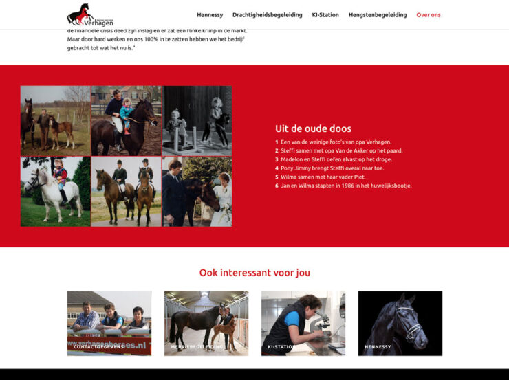 Website Verhagen Horse Service