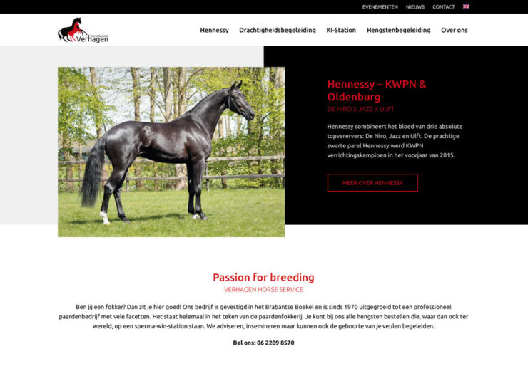 Website Verhagen Horse Service