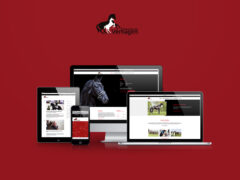 Nieuwe website Verhagen Horse Service online!