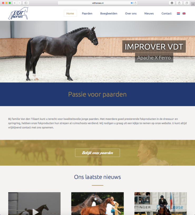 Website VDT Horses