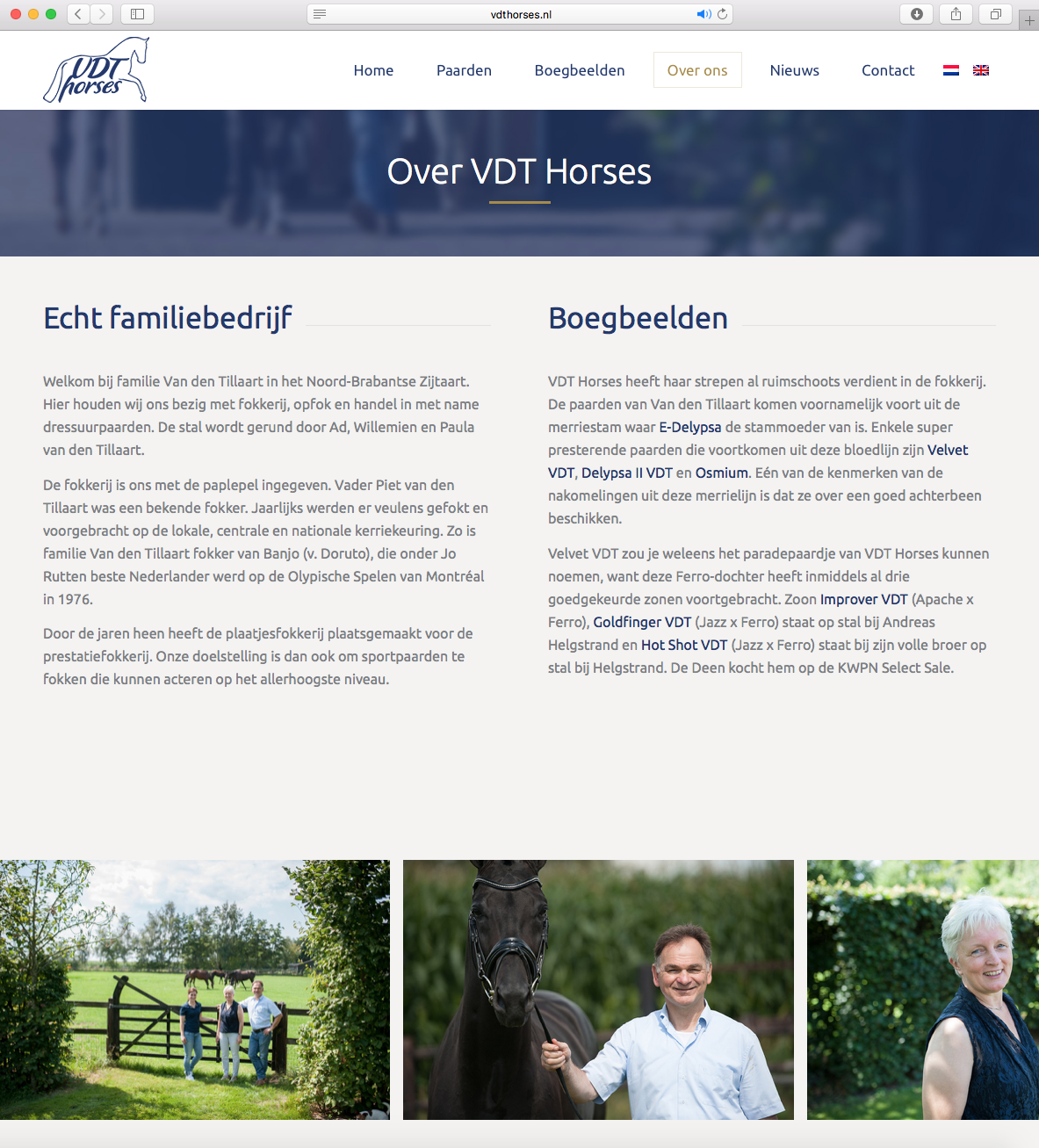 Website VDT Horses