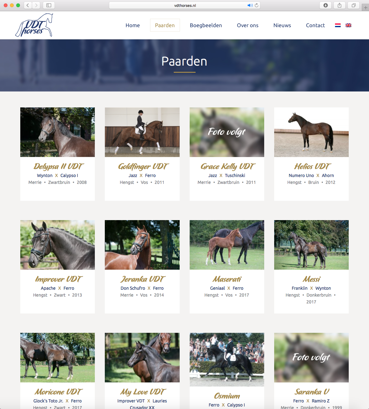 Nieuwe website VDT Horses.