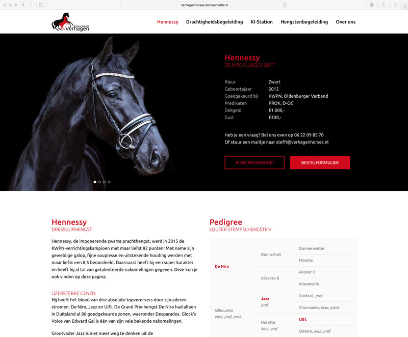 De pagina van de hengst Hennessy op de website van Verhagen Horse Service.
