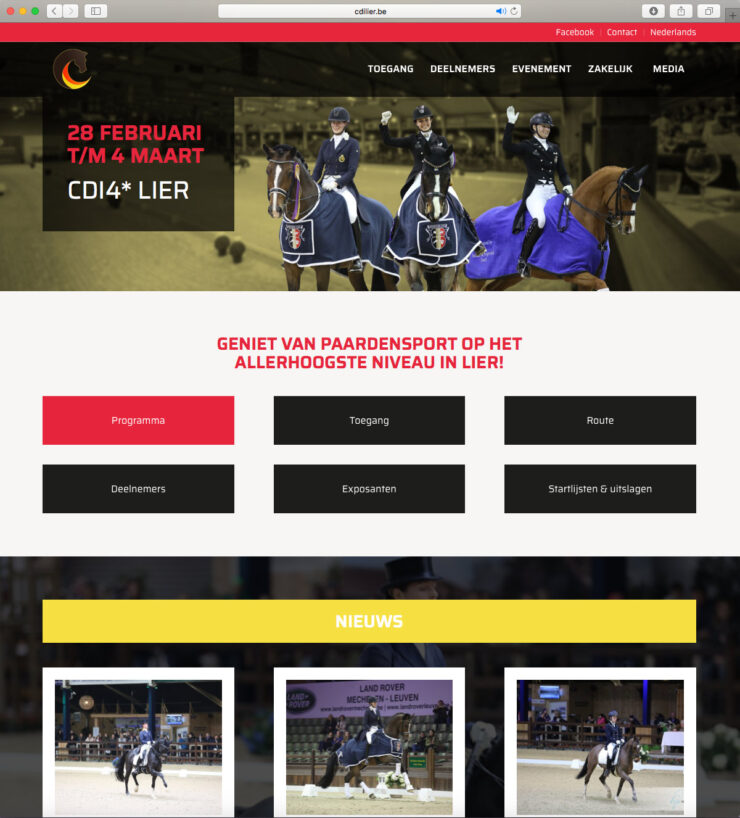 Website CDI Lier