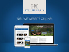 New website Stal Hendrix